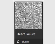 Heart Failure Research Unit