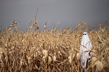 Prairie Ghost photo by intricate explore via Unsplash